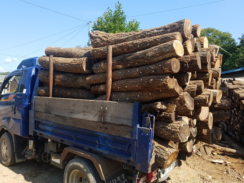 d7edaf13f3eb0829da7dc74309fa94fa_1584691950_7854.jpg d7edaf13f3eb0829da7dc74309fa94fa_1584691950_7854.jpg