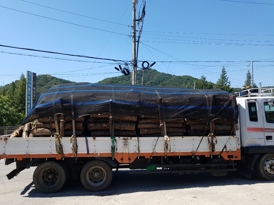 d7edaf13f3eb0829da7dc74309fa94fa_1584691957_0697.jpg d7edaf13f3eb0829da7dc74309fa94fa_1584691957_0697.jpg